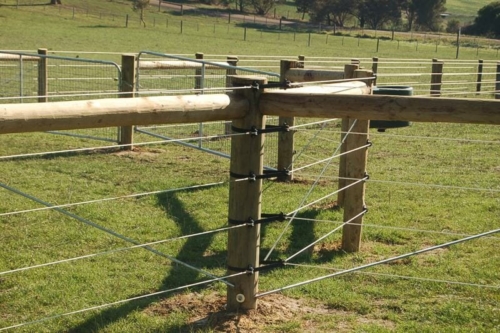 Electrobraid Horse Fencing Gallery – Rick's Custom Fencing & Decking