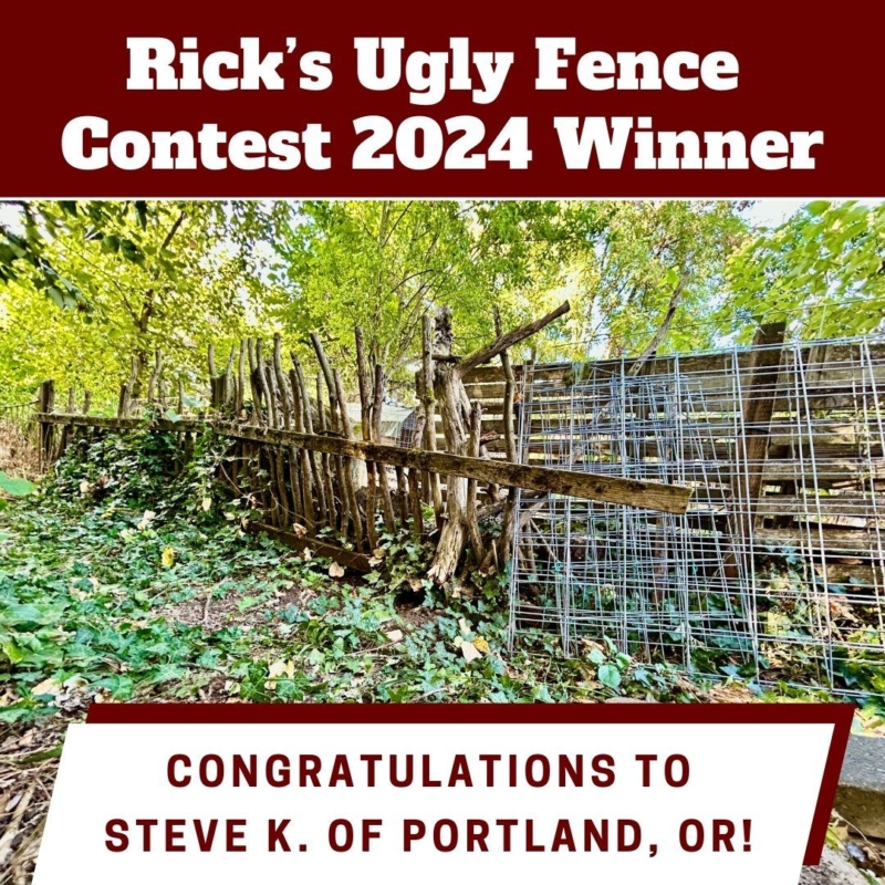 Steve K. winner graphic 2024